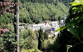 Gasthof Rodachtal Mit Gaestehaus Katharina