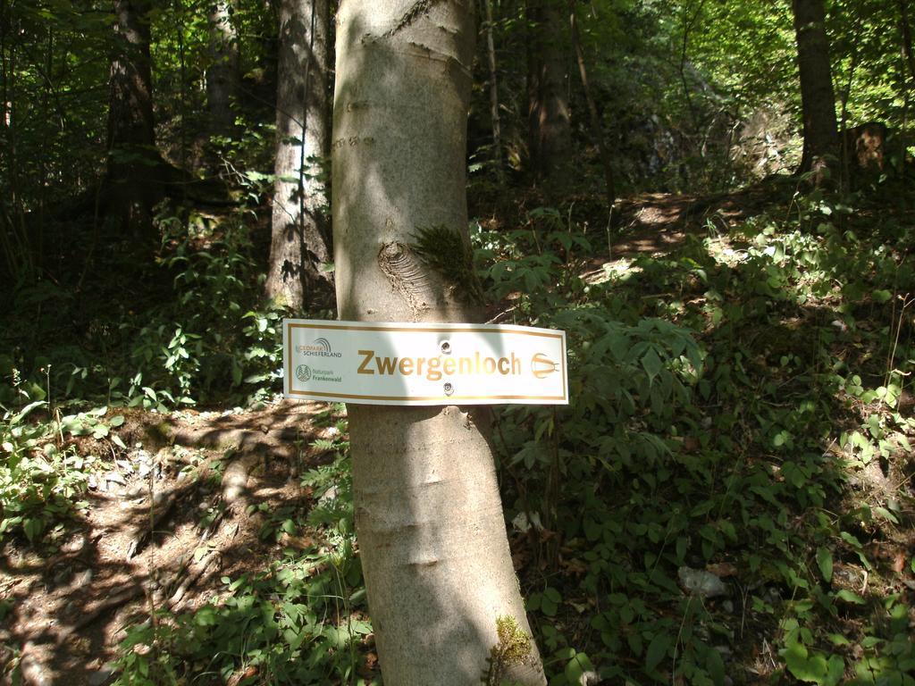 Gasthof Rodachtal Mit Gaestehaus Katharina Schwarzenbach am Wald Exteriör bild